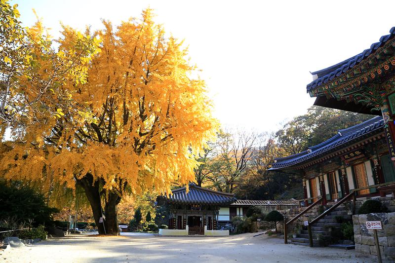 Ganghwado Island9.jpg image