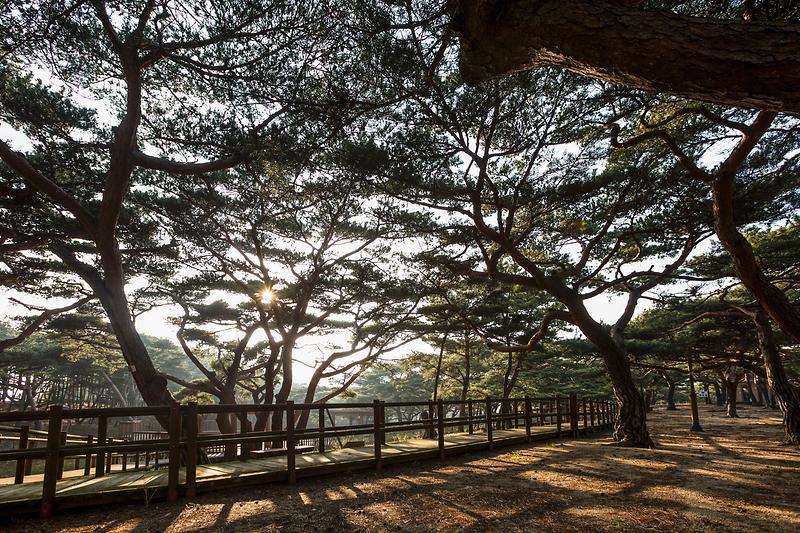 Deokjeokdo Island2.jpg image