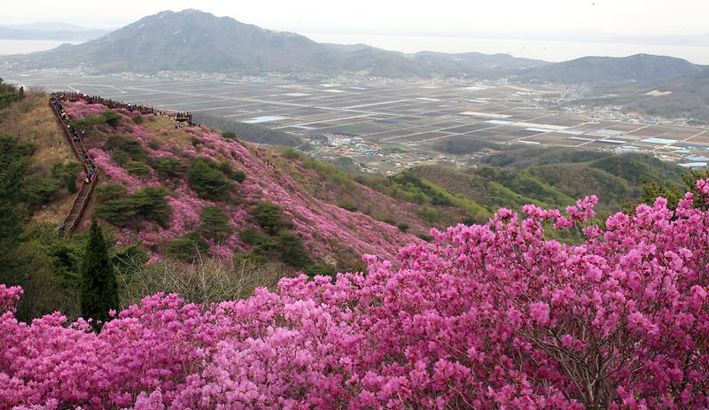 Ganghwado Island17.jpg image