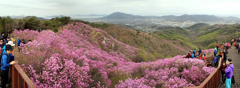 Ganghwado Island16.jpg image