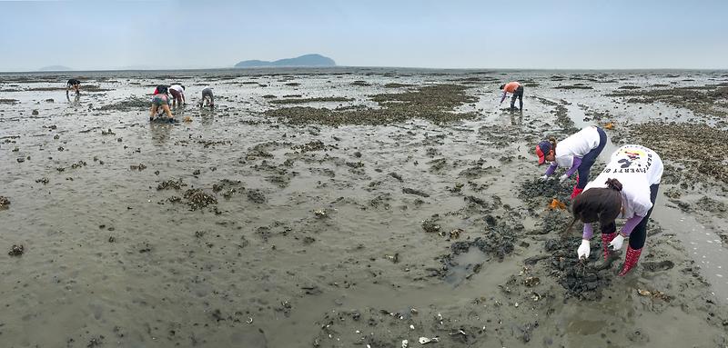 Muuido Island3.jpg image