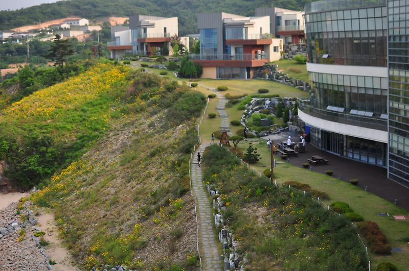 Muuido Island1.jpg image