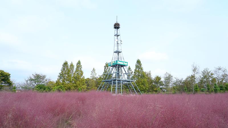 새창: 수도권매립지 드림파크21