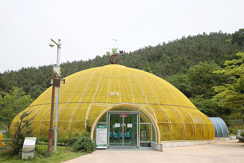 새창: 인천나비공원2