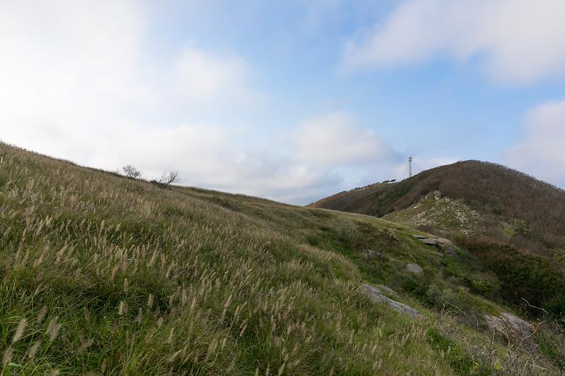 새창: 굴업도 개머리언덕2