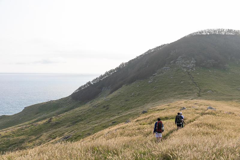 새창: 굴업도 개머리언덕3