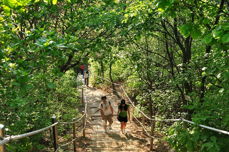 새창: 계양산 전경2