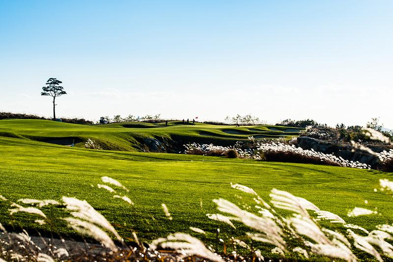 새창: 영종도 골프장4