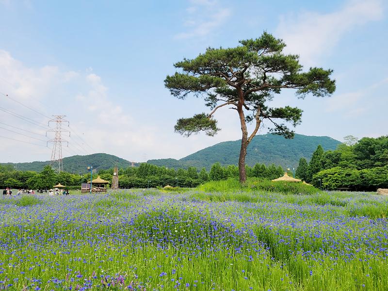 인천대공원3