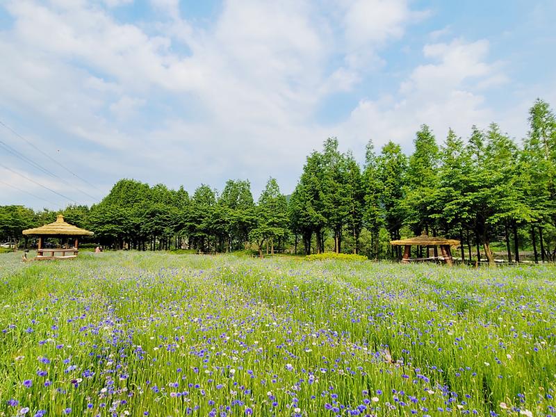 새창: 인천대공원310