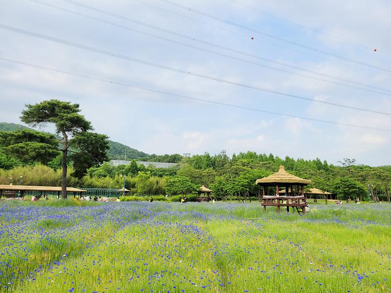 새창: 인천대공원32