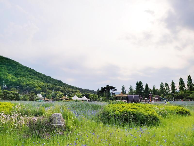 새창: 인천대공원34