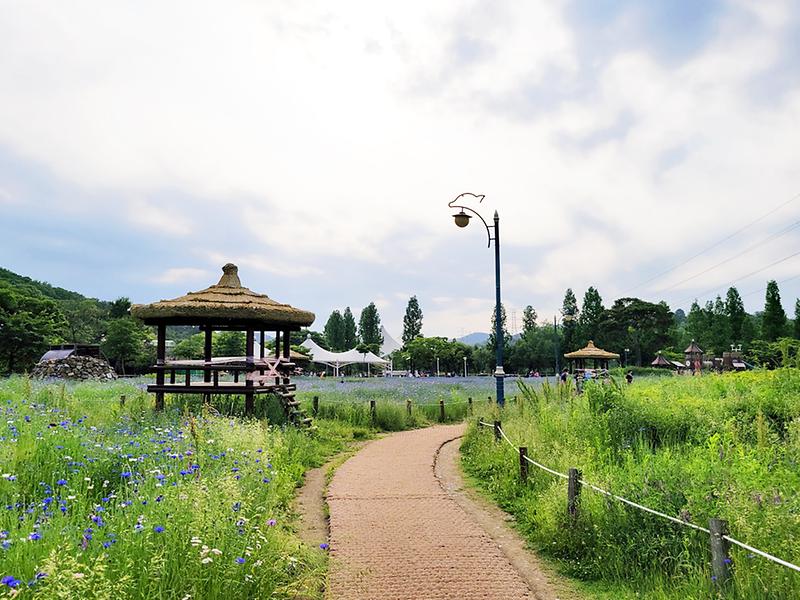 새창: 인천대공원35