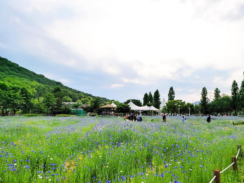 새창: 인천대공원36