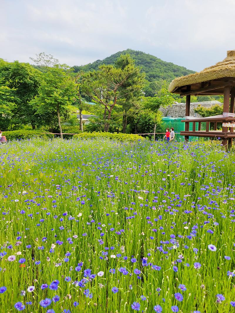새창: 인천대공원37