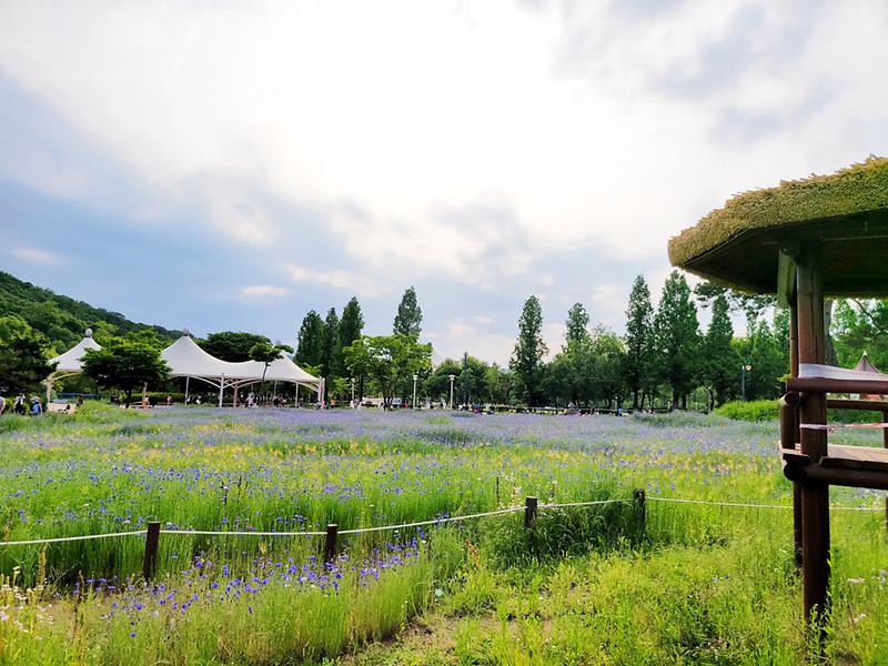 새창: 인천대공원39