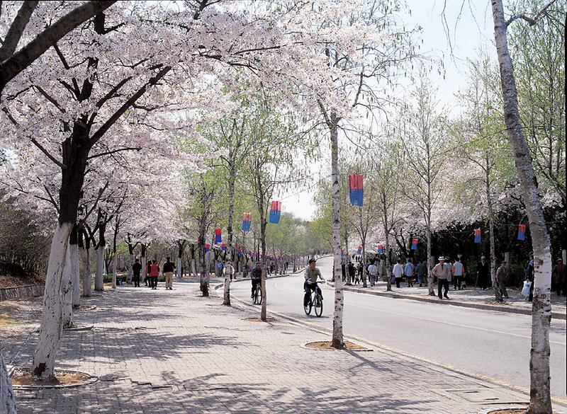 인천대공원