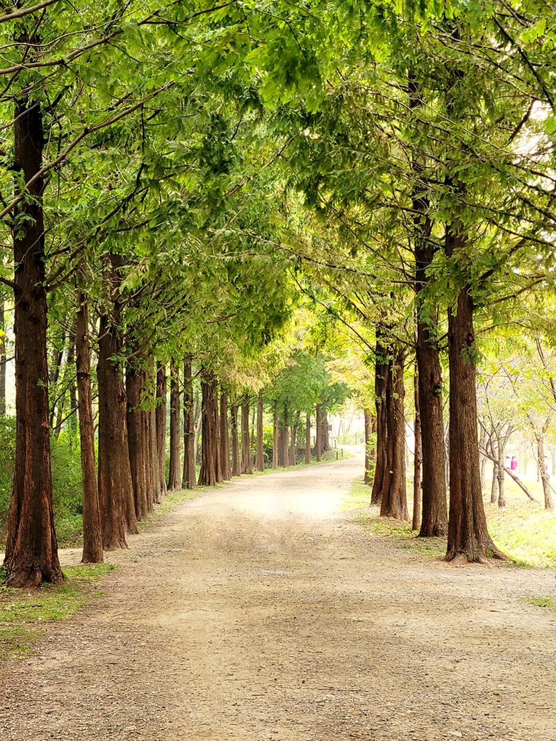 새창: 인천대공원22