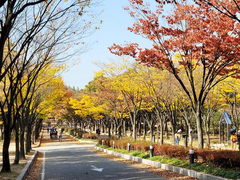 새창: 인천대공원23