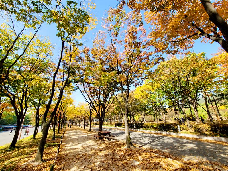 새창: 인천대공원24