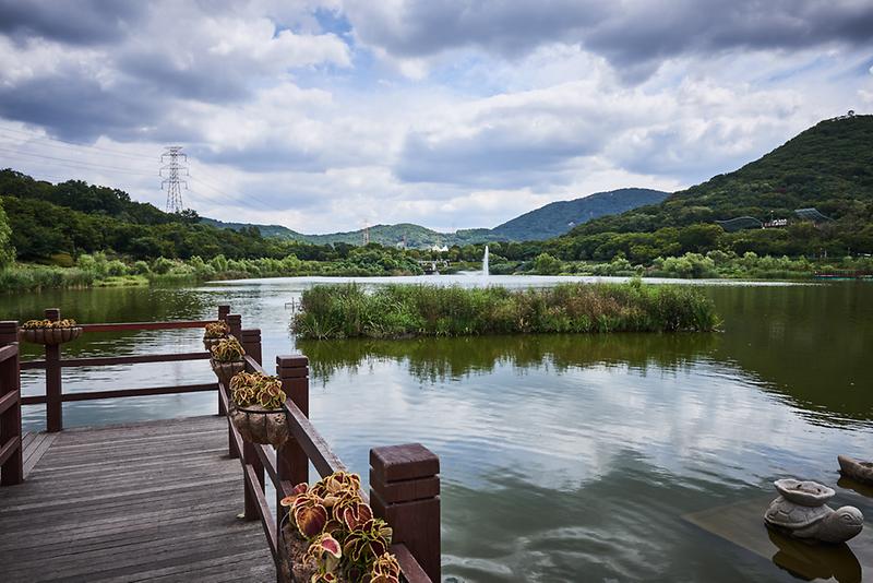 새창: 인천대공원5