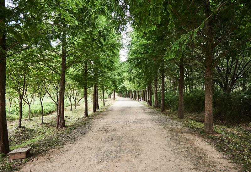 새창: 인천대공원6