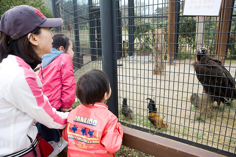 새창: 인천대공원8