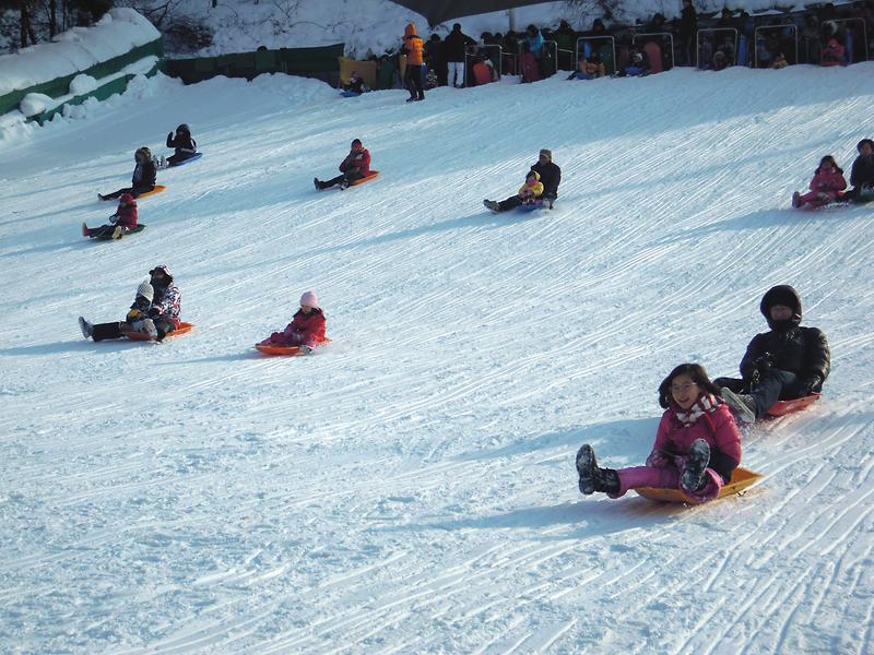 새창: 인천대공원10