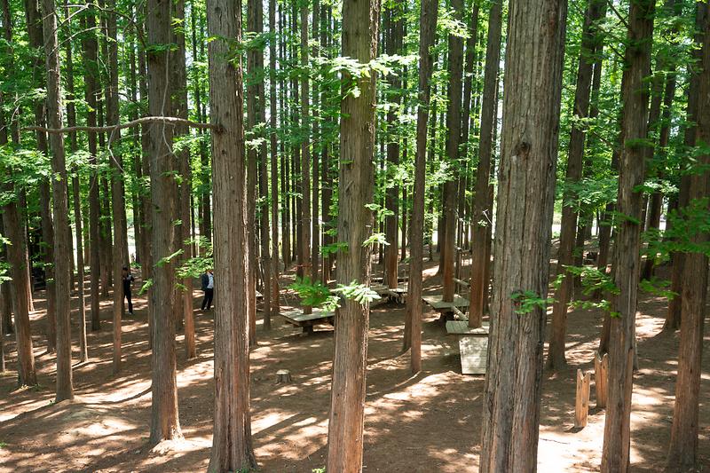 새창: 늘솔길공원3