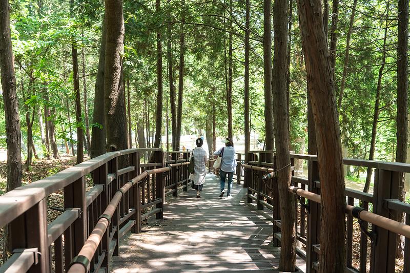 새창: 늘솔길공원4