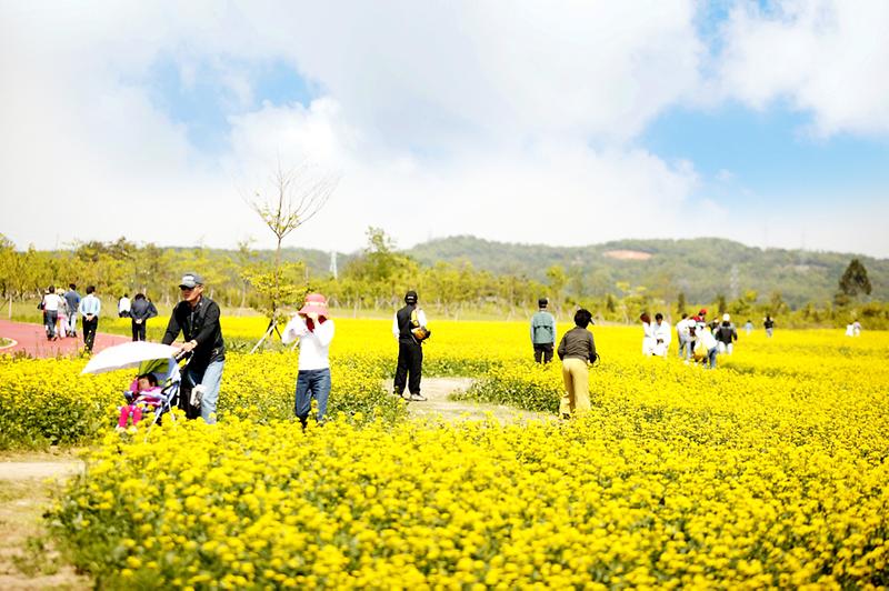 새창: 수도권매립지 드림파크2