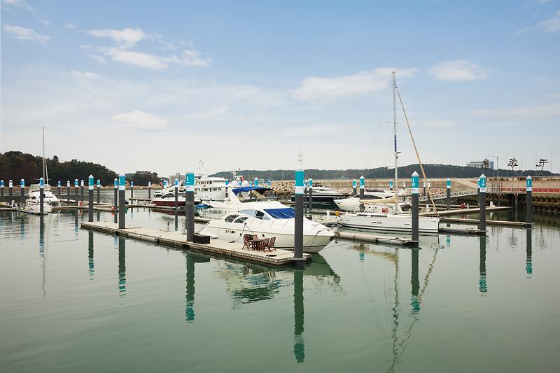 새창: 왕산마리나2