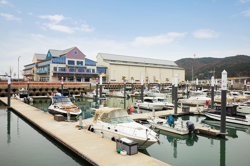 새창: 왕산마리나3