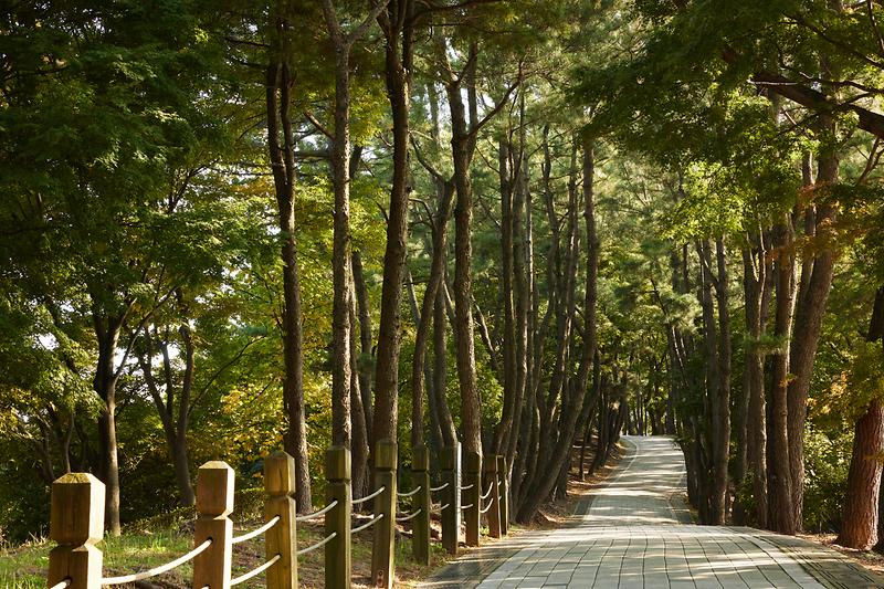 새창: 강화 광성보22