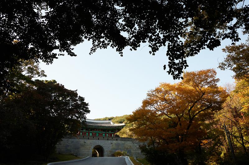 새창: 강화 광성보25