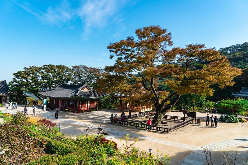 새창: 전등사33