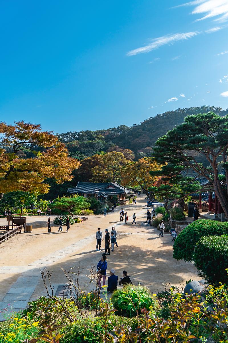 새창: 전등사34